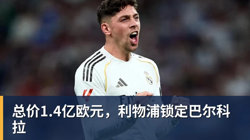 每体:哈维凭借先进的理念和更衣室沟通能力赢得荷兰国脚们的心 - 雨燕直播 - 高清流畅的直播平台