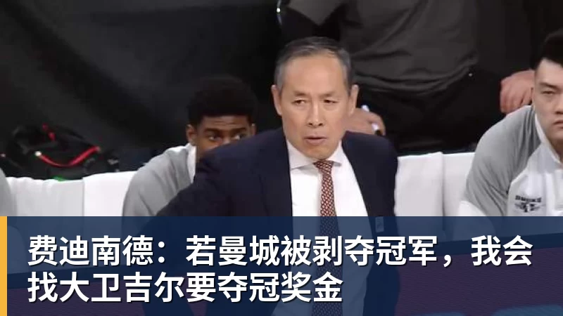 雨燕直播费迪南德：若曼城被剥夺冠军，我会找大卫吉尔要夺冠奖金